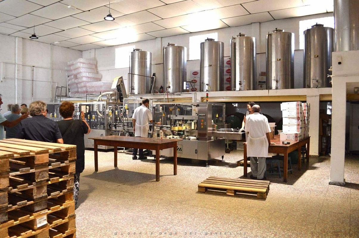 Distillerie  Monforte del Cid- 034.JPG